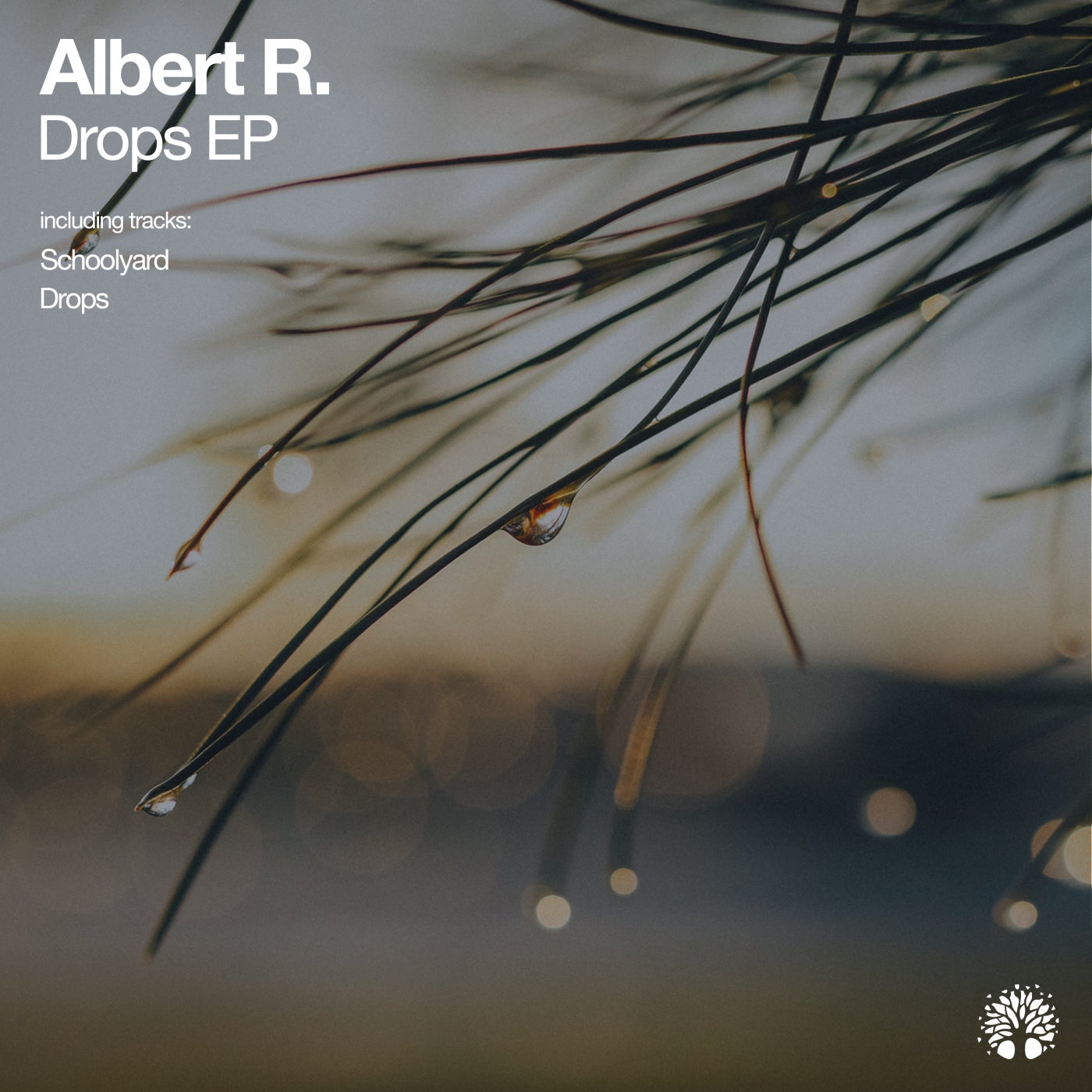 Albert R. – Drops [ETREE413]